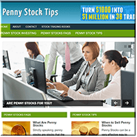 Penny Stocks PLR Site