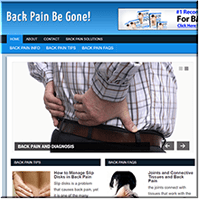 Back Pain PLR Site