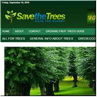 Trees Niche Blog